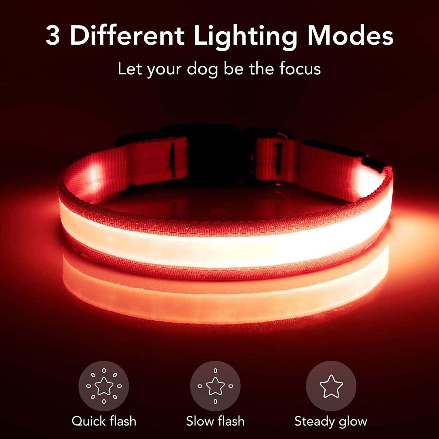 Rechargeable LED Dog Collar - Adjustable Super Bright Glowing Safety Collar for Medium Dogs (Red)