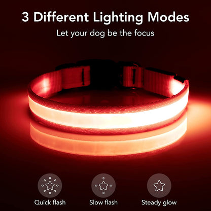 Rechargeable LED Dog Collar - Adjustable Super Bright Glowing Safety Collar for Medium Dogs (Red)