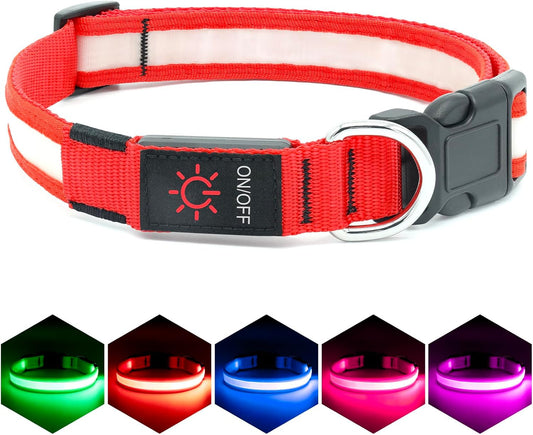 Rechargeable LED Dog Collar - Adjustable Super Bright Glowing Safety Collar for Medium Dogs (Red)