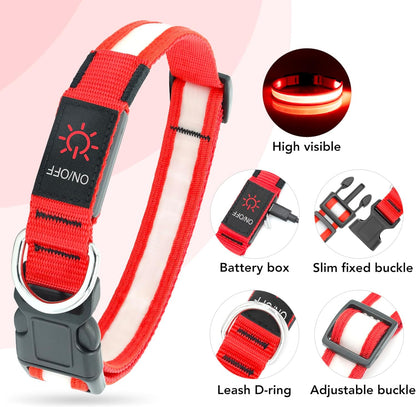 Rechargeable LED Dog Collar - Adjustable Super Bright Glowing Safety Collar for Medium Dogs (Red)