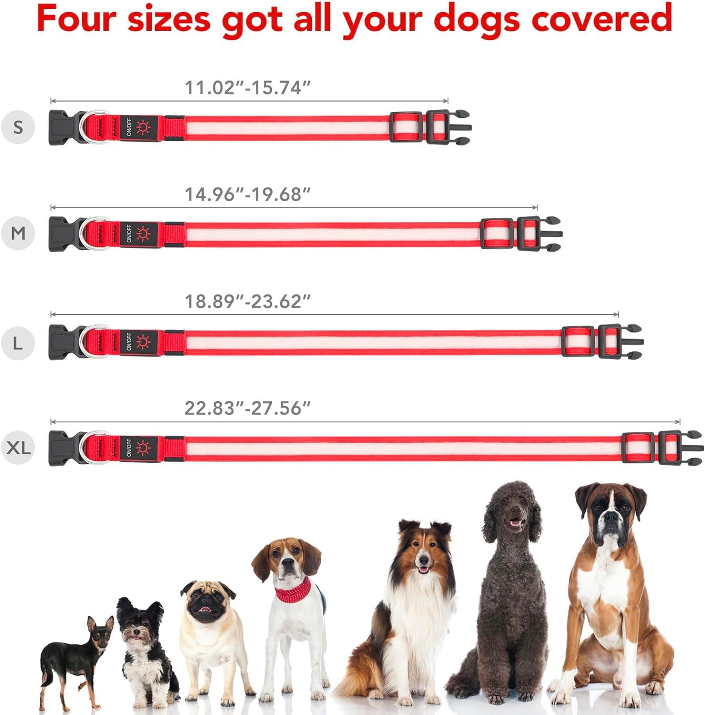 Rechargeable LED Dog Collar - Adjustable Super Bright Glowing Safety Collar for Medium Dogs (Red)