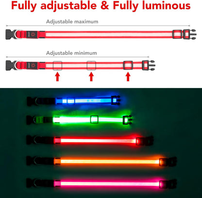 Rechargeable LED Dog Collar - Adjustable Super Bright Glowing Safety Collar for Medium Dogs (Red)