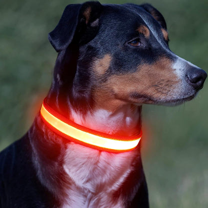 Rechargeable LED Dog Collar - Adjustable Super Bright Glowing Safety Collar for Medium Dogs (Red)